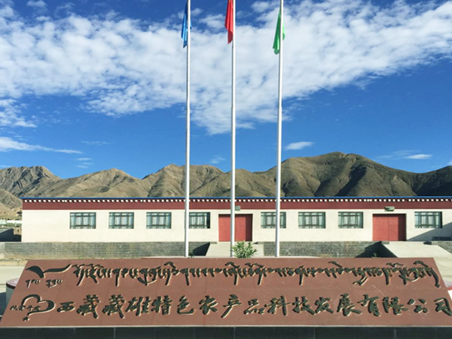 西藏藏雄桶裝飲用水生產線項目